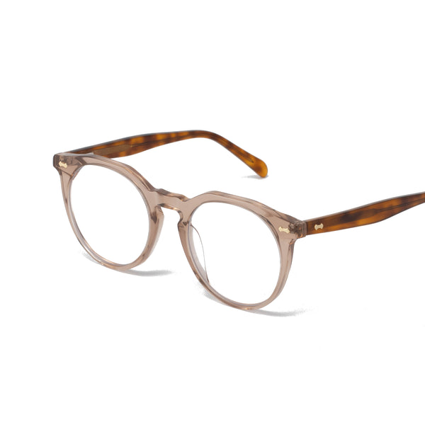 Average / Tortoise on Warm Sand